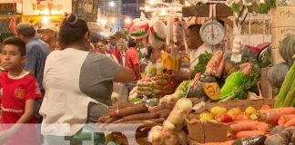 Foto: Sondeo de precios de la canasta básica en Nicaragua / TN8