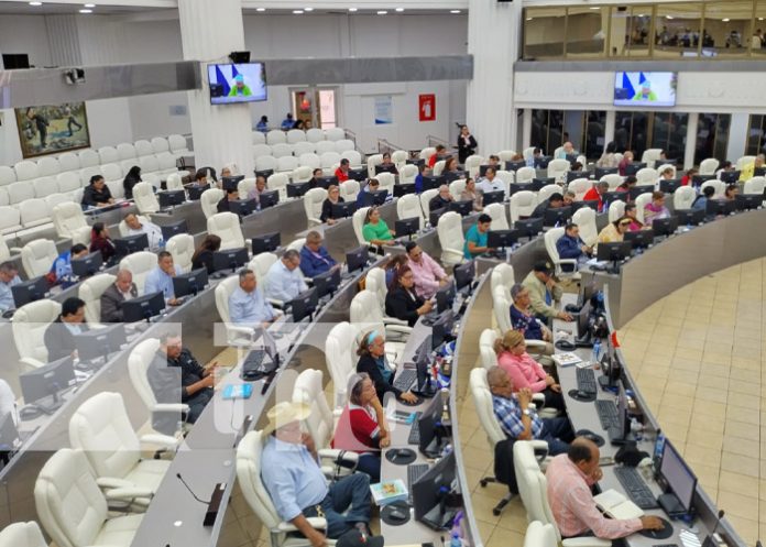 Foto: Nicaragua aprueba acuerdo aduanero con Bielorrusia / TN8 Foto: Nicaragua aprueba acuerdo aduanero con Bielorrusia / TN8