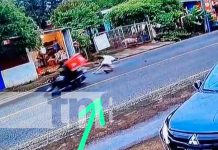 Motorizado arrolla a un anciano en el sector de Veracruz Foto: Motorizado atropella a anciano en Veracruz / TN8