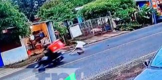 Foto: Motorizado atropella a anciano en Veracruz / TN8