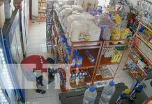 De lo más tranquilo se mete a robar en un mini-súper en Managua Foto: Robo en mini-súper del barrio Domitila Lugo, Managua / TN8