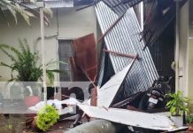 Insólita muerte en Chichigalpa: Le cayó una palmera Foto: Un hombre muere al caerle un árbol de palmera en Chichigalpa / TN8