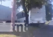 ¡Zángano! Busero hace «trastada» en la Cuesta El Plomo (VIDEO) Foto: Conductor de bus comete tremenda irresponsabilidad en la Cuesta El Plomo / TN8