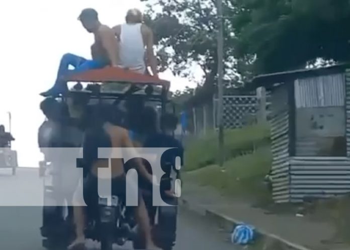 Foto: Captan a una caponera