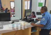 Atención con calidad y calidez desde SERTRAMI-León Foto: SERTRAMI León y sus horarios de atención / TN8