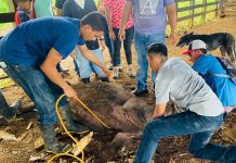 Universidad Nacional Agraria apuesta a formar a mejores profesionales agropecuarios Foto: Universidad Nacional Agraria