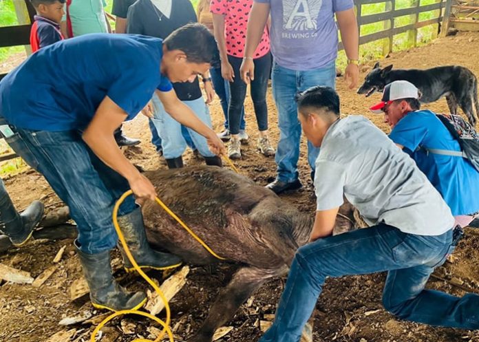 Foto: Universidad Nacional Agraria Foto: Universidad Nacional Agraria