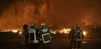 Foto: Portugal lucha contra más de 40 incendios forestales incontrolables