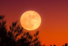 Septiembre trae el espectáculo inolvidable de la Superluna Foto: Superluna de la Cosecha /cortesía