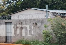 Consternación en La Conquista, Carazo, por ataque de pitbull a una bebé Foto: Consternación en La Conquista, Carazo, por ataque de pitbull a una bebé/TN8