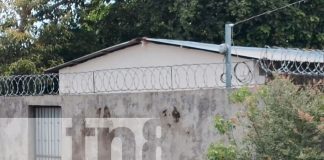 Foto: Consternación en La Conquista, Carazo, por ataque de pitbull a una bebé/TN8