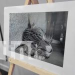 Más de 20 estudiantes concluyen curso de Fotografía Móvil con éxito en Managua Foto: Más de 20 estudiantes concluyen curso de Fotografía Móvil con éxito en Managua/TN8