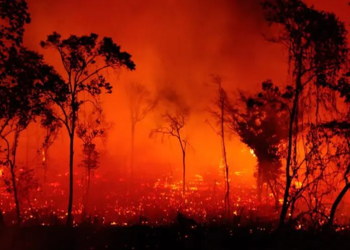 Foto: Incendios en Brasil  /cortesía Foto: Incendios en Brasil  /cortesía
