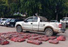 Honduras decomisa más de mil libras de marihuana Foto: Gran despliegue policial en Honduras /cortesía