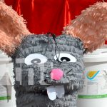 Inicia la tercera Jornada Nacional de Desratización en Nicaragua Foto: Inicia la tercera Jornada Nacional de Desratización en Nicaragua/TN8