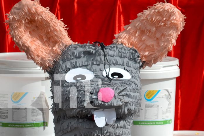 1 Foto: Inicia la tercera Jornada Nacional de Desratización en Nicaragua/TN8