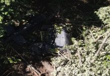 El Salvador decreta tres días de duelo tras fatal accidente aéreo Foto: Duelo en El Salvador /cortesía