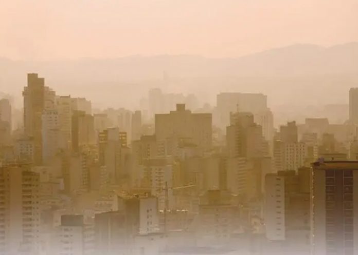 Foto: Brasil en Crisis /cortesía Foto: Brasil en Crisis /cortesía