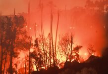 Incendios forestales avanzan en el oeste de EEUU y cubre Los Ángeles de humo Foto: Incendios forestales avanzan en el oeste de EEUU y cubre Los Ángeles de humo/TN8