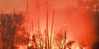 Foto: Incendios forestales avanzan en el oeste de EEUU y cubre Los Ángeles de humo/TN8