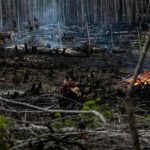 Lula crea estrategias para frenar la “pandemia” de incendios en Brasil Foto: Lula toma acción en Brasil /cortesía