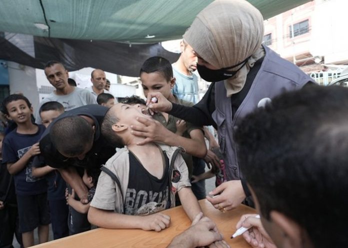 Foto: OMS clama por Gaza /cortesía Foto: OMS clama por Gaza /cortesía