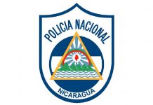 Nuevos líderes en la Policía Nacional: Conoce a los recientes nombramientos Foto; Nuevos líderes en la Policía Nacional: Conoce a los recientes nombramientos/ Cortesía