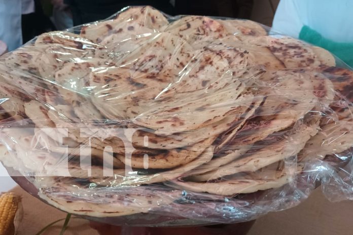 Foto: Sabores y tradiciones brillan en el Festival Gastronómico /TN8 Foto: Sabores y tradiciones brillan en el Festival Gastronómico /TN8