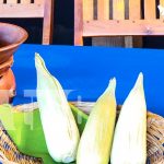 El Gobierno Municipal de Ocotal lanza la Treceava Feria del Maíz Foto: El Gobierno Municipal de Ocotal lanza la Treceava Feria del Maíz/TN8