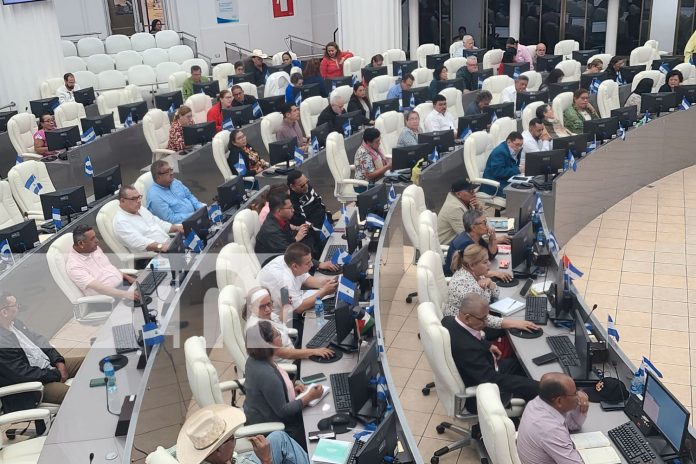 Foto: Lucha contra el crimen organizado /TN8 Foto: Lucha contra el crimen organizado /TN8