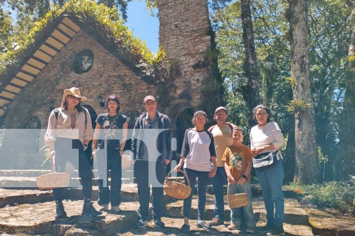 Foto: Hongos de Nicaragua en una caminata con un grupo de turistas por la zona de Lindau en Selva Negra, Matagalpa/TN8 Foto: Hongos de Nicaragua en una caminata con un grupo de turistas por la zona de Lindau en Selva Negra, Matagalpa/TN8