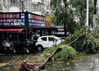 El tifón más fuerte que ha golpeado Shanghái en los últimos 75 años tocó tierra en la madrugada del lunes, trayendo lluvias torrenciales