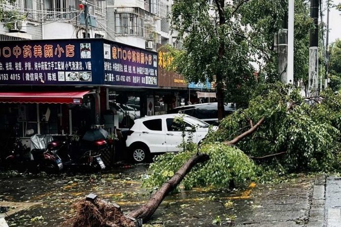 1 El tifón más fuerte que ha golpeado Shanghái en los últimos 75 años tocó tierra en la madrugada del lunes, trayendo lluvias torrenciales