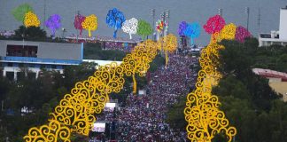 Foto: Homenaje al Árbol de la Vida
