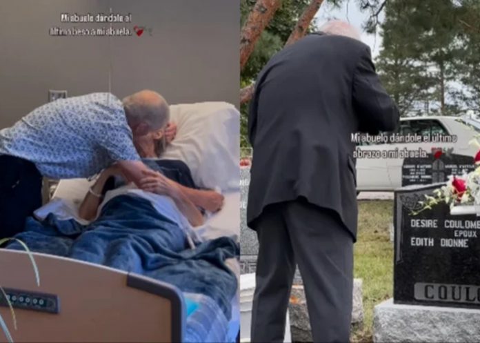 Foto: Abuelita dice adiós /cortesía Foto: Abuelita dice adiós /cortesía