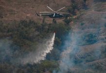 Incendios forestales en Perú han provocado la muerte de 20 personas Foto: incendios forestales en Perú han provocado varios fallecidos/Cortesía