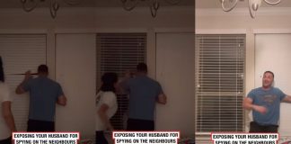 Foto: Espiando a escondidas a los vecinos /Cortesía