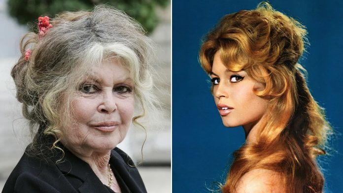 Foto: Brigitte Bardot cumple 90 años, cansada de la atención, pero firme en su lucha por los animales. Foto: Brigitte Bardot cumple 90 años, cansada de la atención, pero firme en su lucha por los animales.