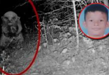 La «macabra» desaparición de un niño en Honduras Foto: Fenómeno paranormal en Honduras /cortesía