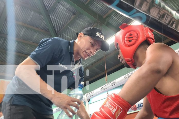 1 Foto: Campeonato de boxeo juvenil en el Roger Deshon impulsa talento local en Managua/TN8
