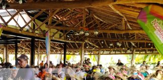 Foto: Isla de Ometepe dan inicio a la Expo Ometepe en su XV edición/TN8