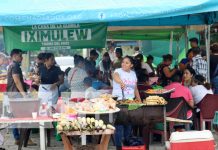 Feria del maíz Xilonem “El maíz es nuestra raíz” celebrado en Somoto Foto: Feria del maíz Xilonem en el municipio de Somoto/TN8