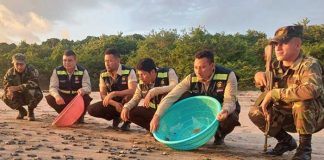 Autoridades del MARENA y el Ejército de Nicaragua realizaron la liberación de 1,032 tortuguillos de la especie Paslama en Chacocente