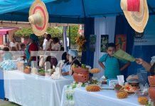 Estelí celebra con éxito el Festival de Gastronomía Departamental «Patria Bendita» Foto: Festival de Gastronomía Departamental en Estelí/TN8