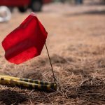 Hallan en fosa clandestina el cuerpo de periodista desaparecido en México Foto: El cadáver fue encontrado en un terreno baldío de la comunidad Espejo Potrero, México/Cortesía