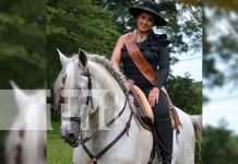 Masaya se prepara para las fiestas hípicas más esperadas del año Foto: Masaya se prepara para las fiestas hípicas más esperadas del año/TN8