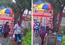 Se «desmarimba» la vida: señora cae dentro de un manjol (VIDEO) Foto: Señora cae dentro de un manjol /Cortesía