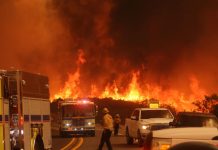Incendio «Bridge» arrasa 33 casas y causa evacuaciones en Los Ángeles Foto: Incendio "Bridge" arrasa 33 casas y causa evacuaciones en Los Ángeles