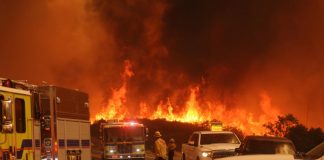 Foto: Incendio "Bridge" arrasa 33 casas y causa evacuaciones en Los Ángeles