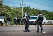 Violenta disputa entre grupos delictivos deja 11 muertos en México Foto: Enfrentamiento armado deja 11 muertos en México /Cortesía